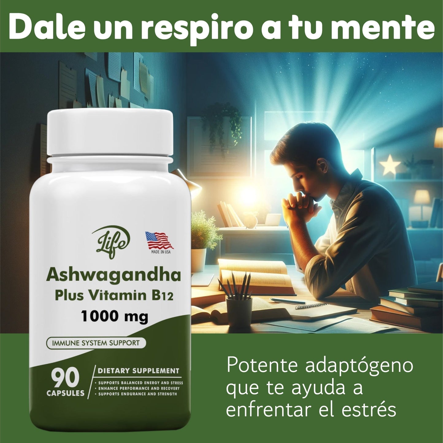 gid://shopify/MediaImage/24692392034398