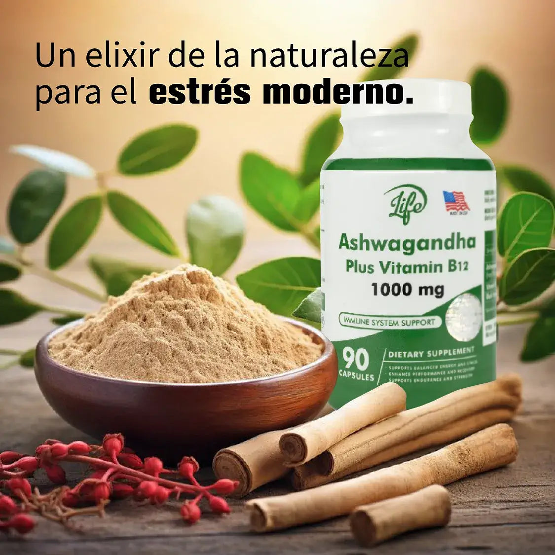 gid://shopify/MediaImage/24692391870558